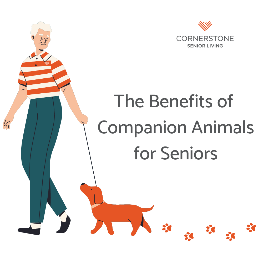 The Power of Pets: The Benefits of Companion Animals for Seniors