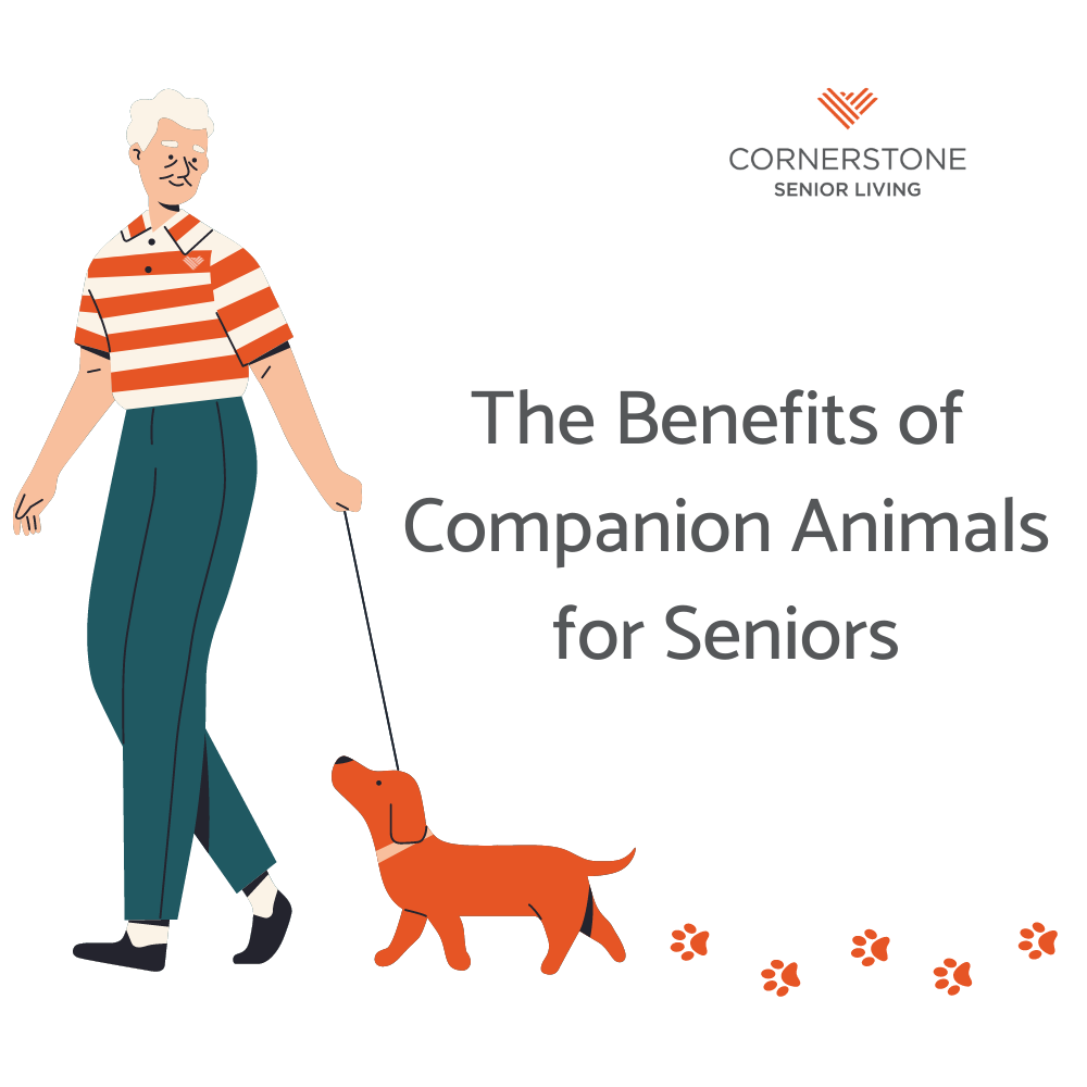 Companion Animals for Seniors