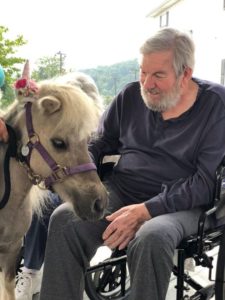 Companion Animals - a senior with a horse